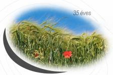35 éves a Szövetség - Ünnepi Közgyűlés